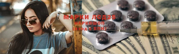 МДПВ Богородск