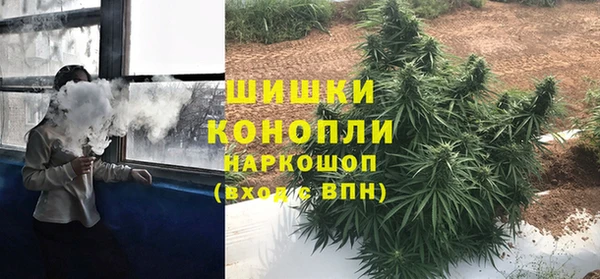 МДПВ Богородск
