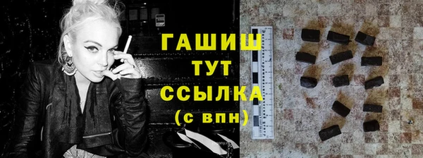 spice Богородицк