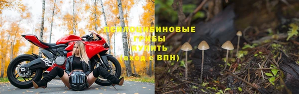 гидропоника Беломорск