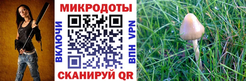 купить наркотик  Облучье  Псилоцибиновые грибы MAGIC MUSHROOMS 